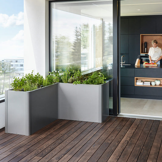 Belvedere - Elements4me