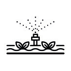 Système d'irrigation pour potager surélevé, bac à plantes Belvedere, serre Florentina