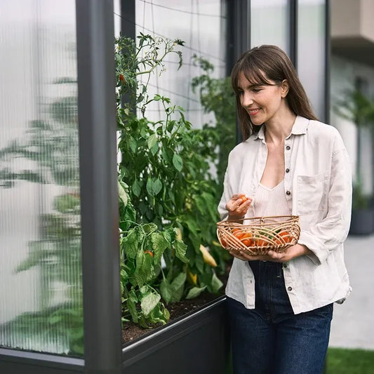 Gewächshaus Florentina