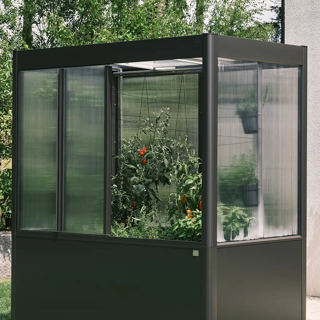 Trellis for greenhouse Florentina