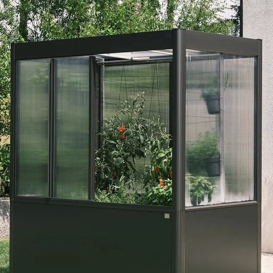 Trellis for greenhouse Florentina