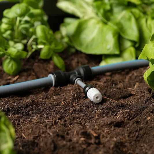 Système d'irrigation pour potager surélevé, bac à plantes Belvedere, serre Florentina