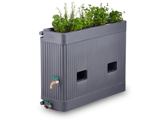Regen-Kräuterbeet - 290 Liter